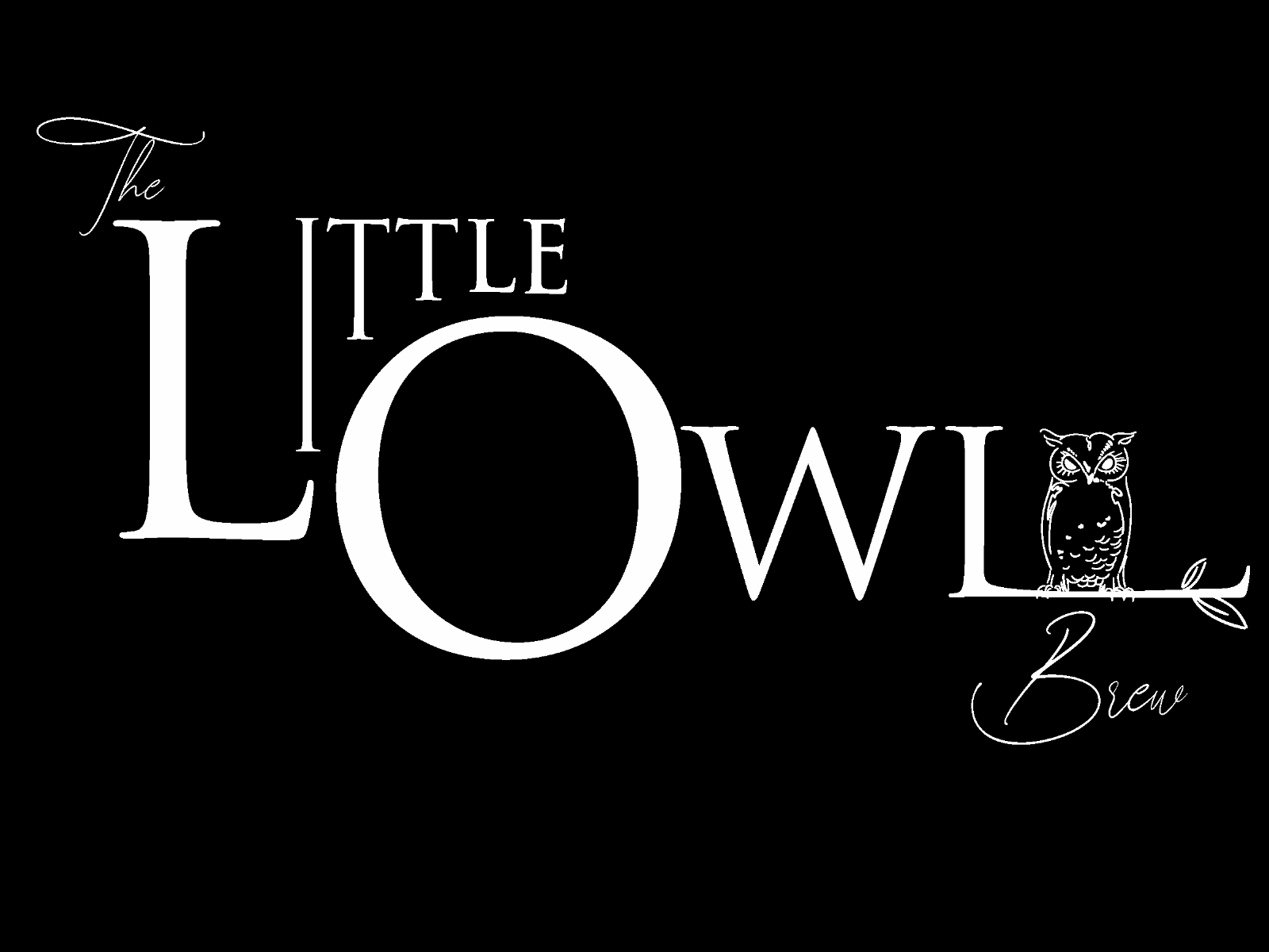 Logo design for The Little Owl Brew branding logodesign