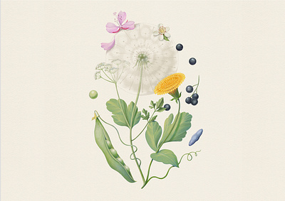 Imaginary flower editorial illustration flower flower illustration illustration plant plants realism realistic