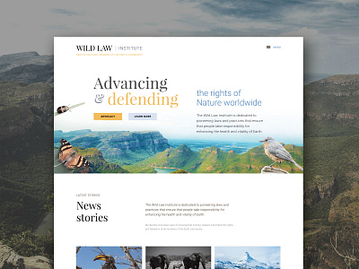 Wild Law Slider photography sliders typography website