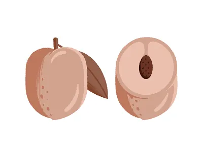Big Fat Peach fruit illustration leaf packaging packaging design peach peachy seed