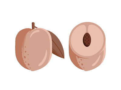 Big Fat Peach fruit illustration leaf packaging packaging design peach peachy seed