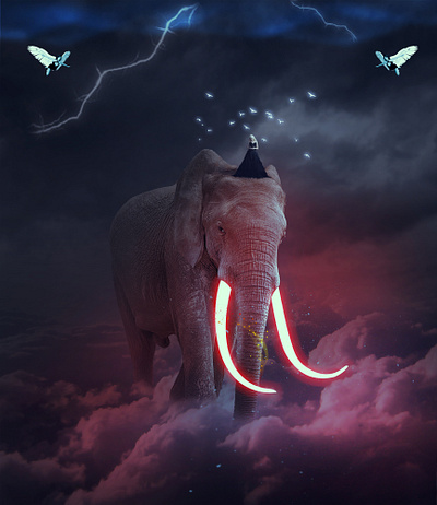 elephant 3 manipulation ideas photo manipulation photo manipulation ideas photography photoshop action photoshop art photoshot