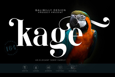 Free Kage Serif Font beautiful font book font classic font classy classy font display editorial font elegant font feminine font heading font headlines font high class font invitation font logo font logo fonts magazine font minimal font modern modern classy font modern font