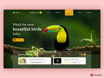 Kiwiki- Bird Sanctuary Website Design adobe xd appdesign bird watch birds figmadesign interactiondesign landing page landing page design minimal sanctuary ui uidesign uidesigns uiux uiuxdesign uxdesignmastery uxdesigns web design website design wildlife