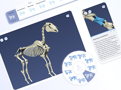 App Animals Anatomy 2 screen