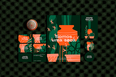 Branding for Maria Bicuda brand brand identity cactus illustration logo photography stationery type