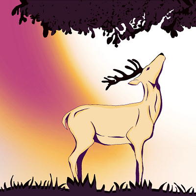 Morning due digital illustration illustration procreate