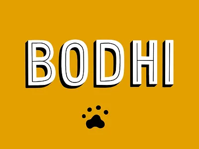 Bodhi the BMD design handlettering illustration ipad lettering letters procreate type typography