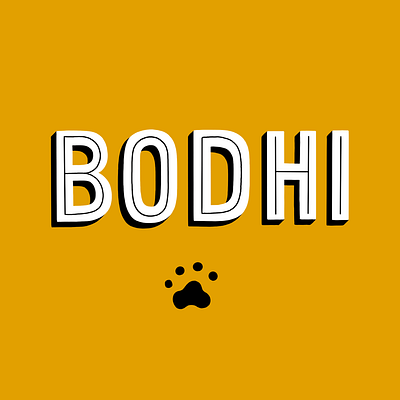 Bodhi the BMD design handlettering illustration ipad lettering letters procreate type typography