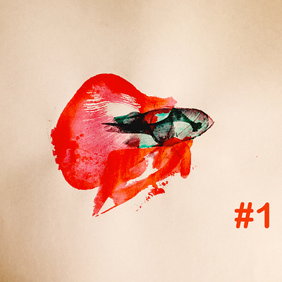 Red Betta Fish colors design dribbble fun hand