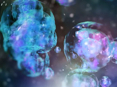 cells 0001 3d houdini