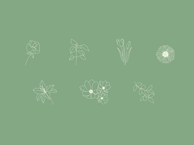 Scotts Flowers - illustrations branding custom flower graphic design illustration lines shop