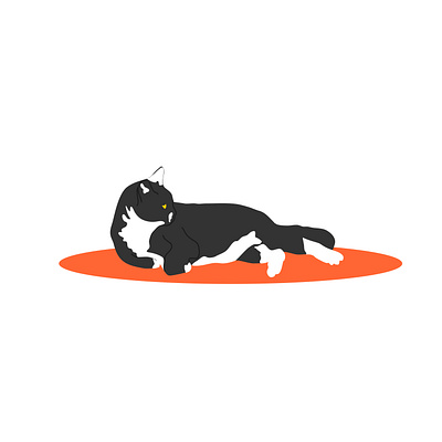 Cute white and black cat resting in orange mat. Pet cartoon icon animal cat cute animal home illustration pet pet care pets vector