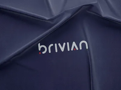Brivian - Logo and Branding for IT company branding corporate logo