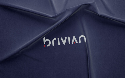 Brivian - Logo and Branding for IT company branding corporate logo