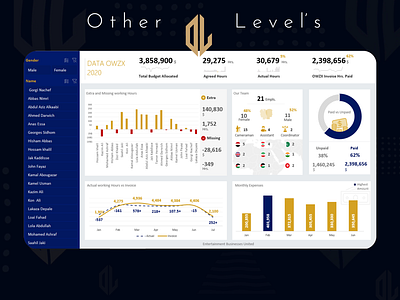 Excel Dashboard animation dashboad dashboard ui excel infographic