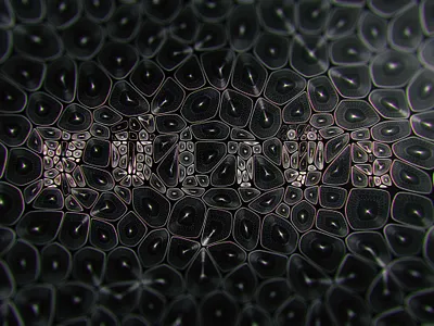 title 3d art illustration title title design typography