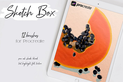 Sketch Box for Procreate brush brushes drawing illustrations pencil procreate procreate app procreate art procreate brush procreate brush set procreate brushes procreate illustration procreateapp rough shading sketch sketch box sketchbook texture textures