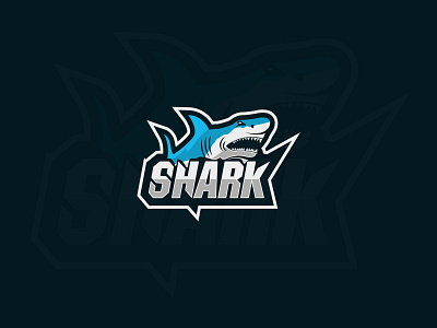 Shark Logo Design branding branding and identity color logo design fish logo flat graphics design icon illustration illustrator logo minimal modernlogo shark brand shark logo typography vector