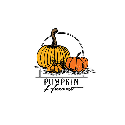 Pumpkin Harvest autumn fall fun hand drawn harvest illustration logo procreate pumpkin typography vector