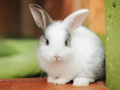 432BEF32 1630 4AF9 8E82 07D5D5C9DA7F