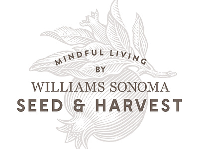Seed & Harvest branding food illustration logo pomegranate roger xavier scratchboard williams sonoma woodcut