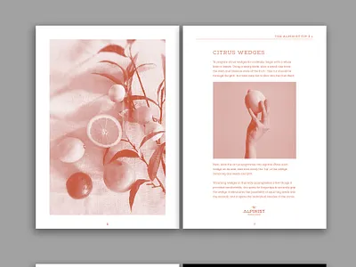 Recipe book pagination_2