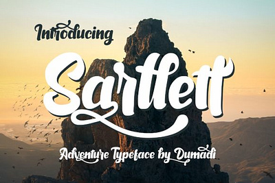 Sarllett animation app bold branding covid19 design font handmade illustration logo newfont typography web