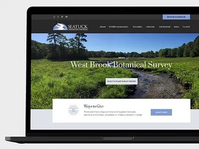 Seatuck Website Design design ui ux website design