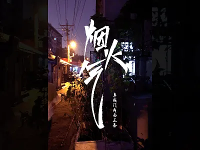 手写字 design flat typography