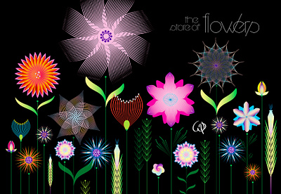 STORE OF FLOWERS | HK design digital illustration graphic design illustration ui vector