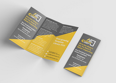 Broucher Design brochure brochure design brochure layout business brochure business brochure design design illustration