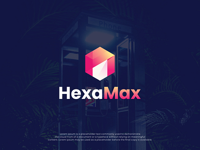 HexaMax logo concept brand branding design graphic design illustration logo motion graphics ui ux vector