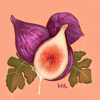 Day 1 Kinktober art botanical fig illustration kinktober