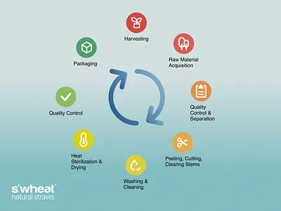 Process Chart for S'wheat Straws chart chart design design ecofriendly icon infographic information design sustainability website website design