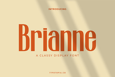 Brianne - Display Font apparel apparel design design display display font display fonts elegant fonts font font design fonts collection label letterhead logotype logotypes modern poster professional sans serif serif font serif fonts