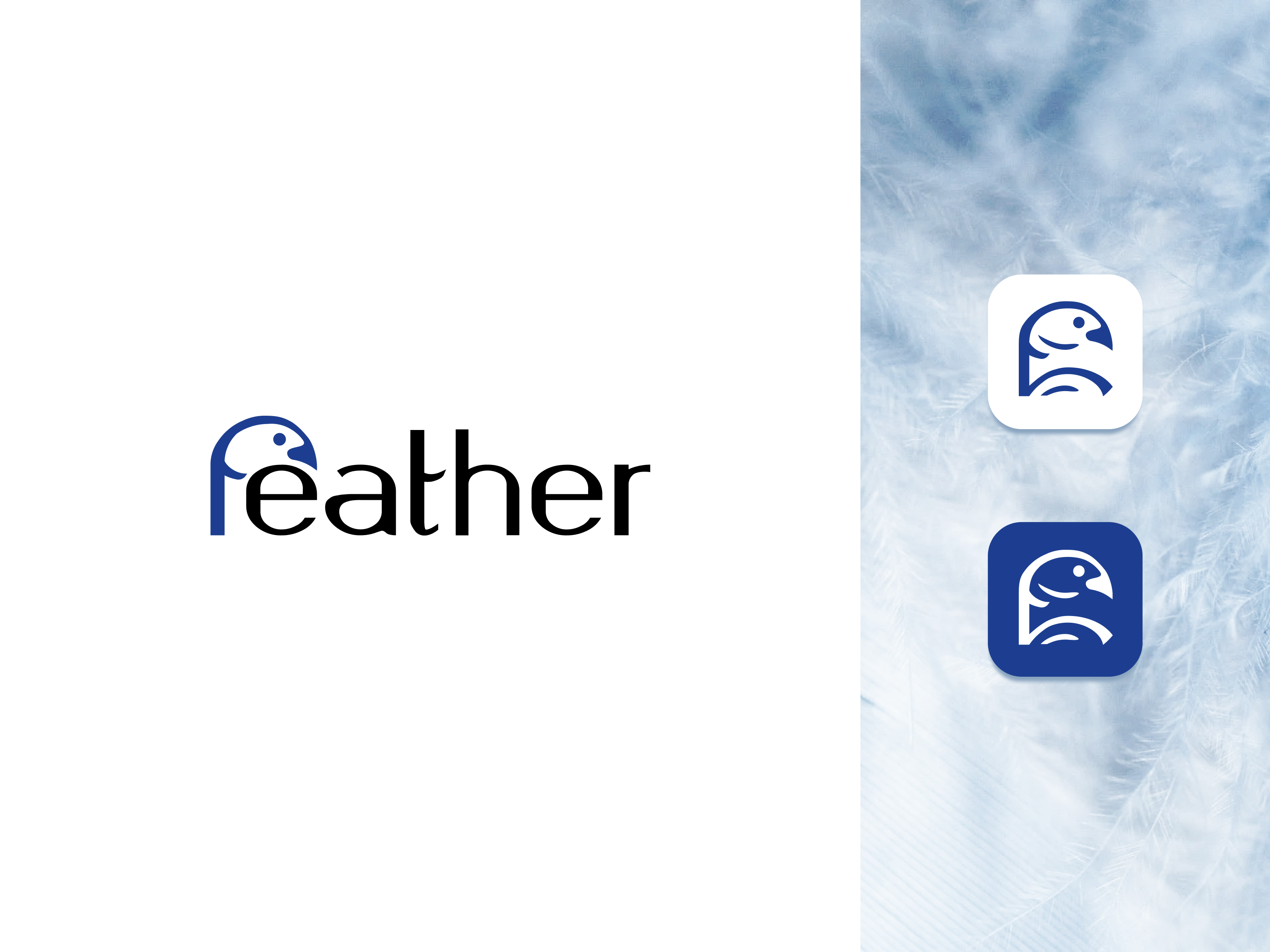 Example of Logo Feather