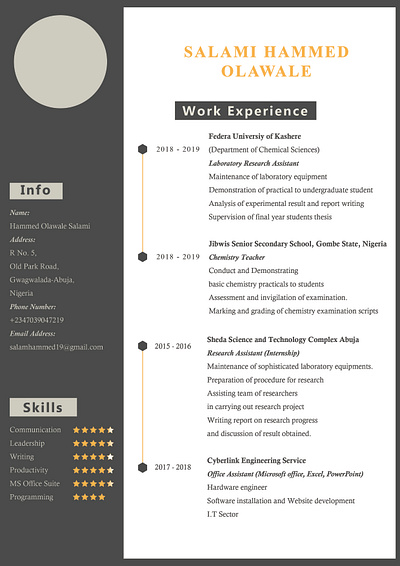 ahmed resume 2 01 resume design