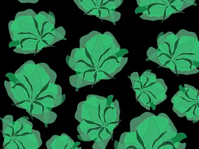 Looks like cabbage to me, what about you? procreate digitalart greens