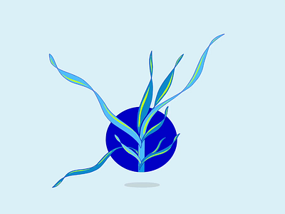 Animated Illustration | Blue Plant animation app branding concepting graphic design illiustration plant portfolio site web web design