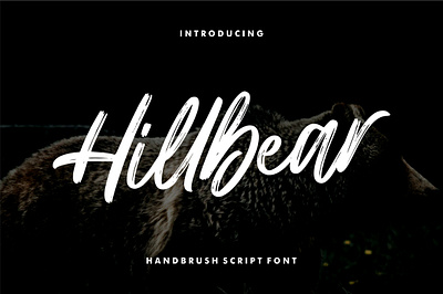 Hillbear - Handbrush Script Font boldscript brush brushpen calligraphy font handbrush handdrawn handlettering handwritten handwritting letter logotype modern script typography