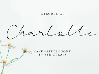 Charlotte - Casual Handwritten Font calligraphy font handdrawn handlettering handwritten handwritting letter logotype modern otf script signature ttf typography woff
