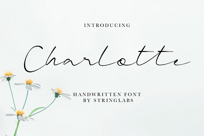 Charlotte - Casual Handwritten Font calligraphy font handdrawn handlettering handwritten handwritting letter logotype modern otf script signature ttf typography woff