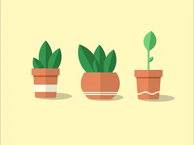 Plant pots design flat illustration minimal vector