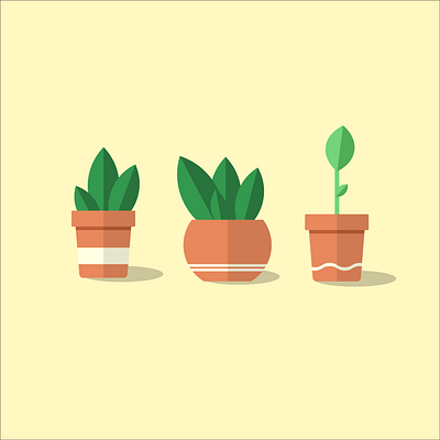Plant pots design flat illustration minimal vector