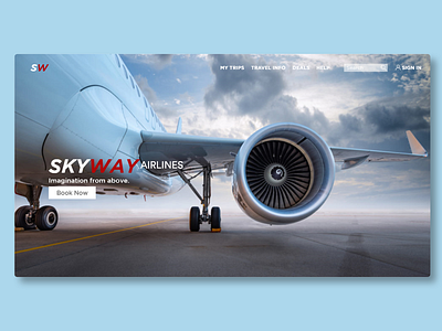 SkyWay Airlines (Web Design) branding design ui ux web website