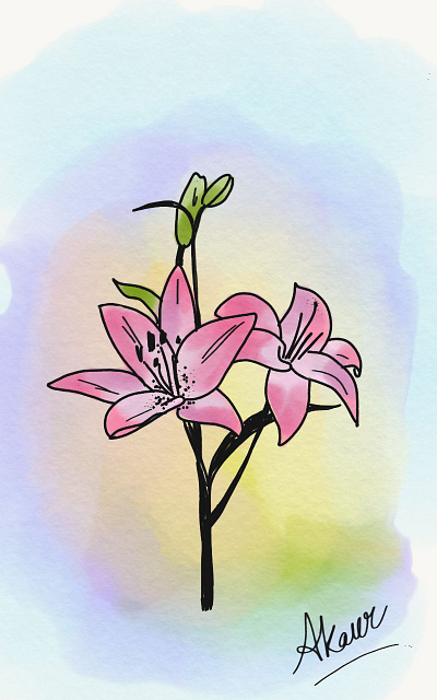 1601807359299 Project Drawing 1 design digital illustration digital painting digitalart flowers illustration lily flower nature illustration