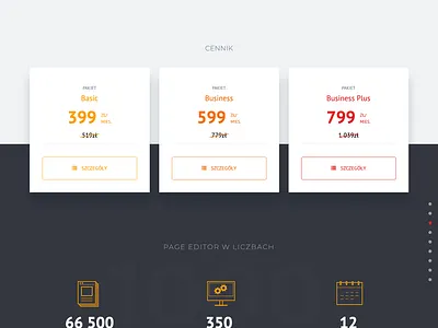 Website for PageEditor.pl responsive design webdesign website design