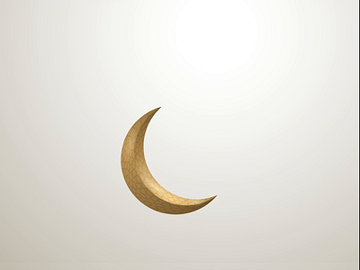 Ramadan Kareem animation branding illustration illustrator intro logo motion motion graphics vector