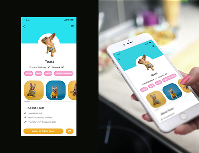 Dog adoption profile daily ui 006 dailyui dog mobile mobile app